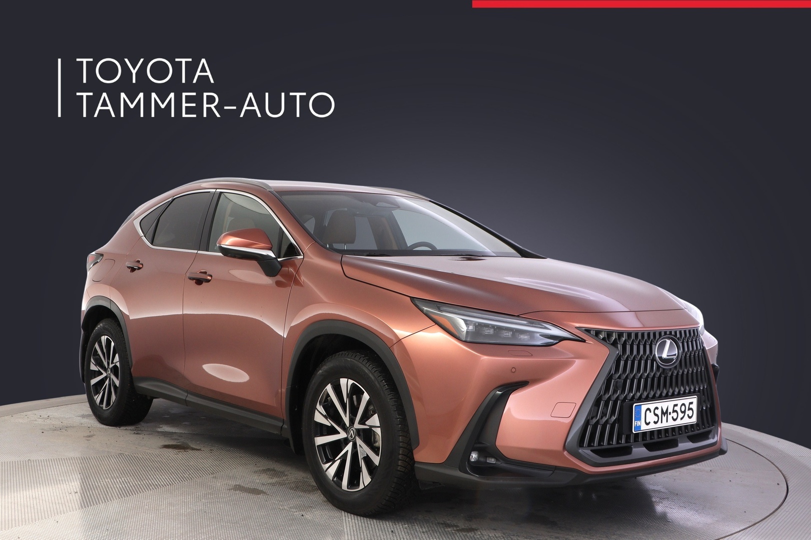LEXUS NX 2025