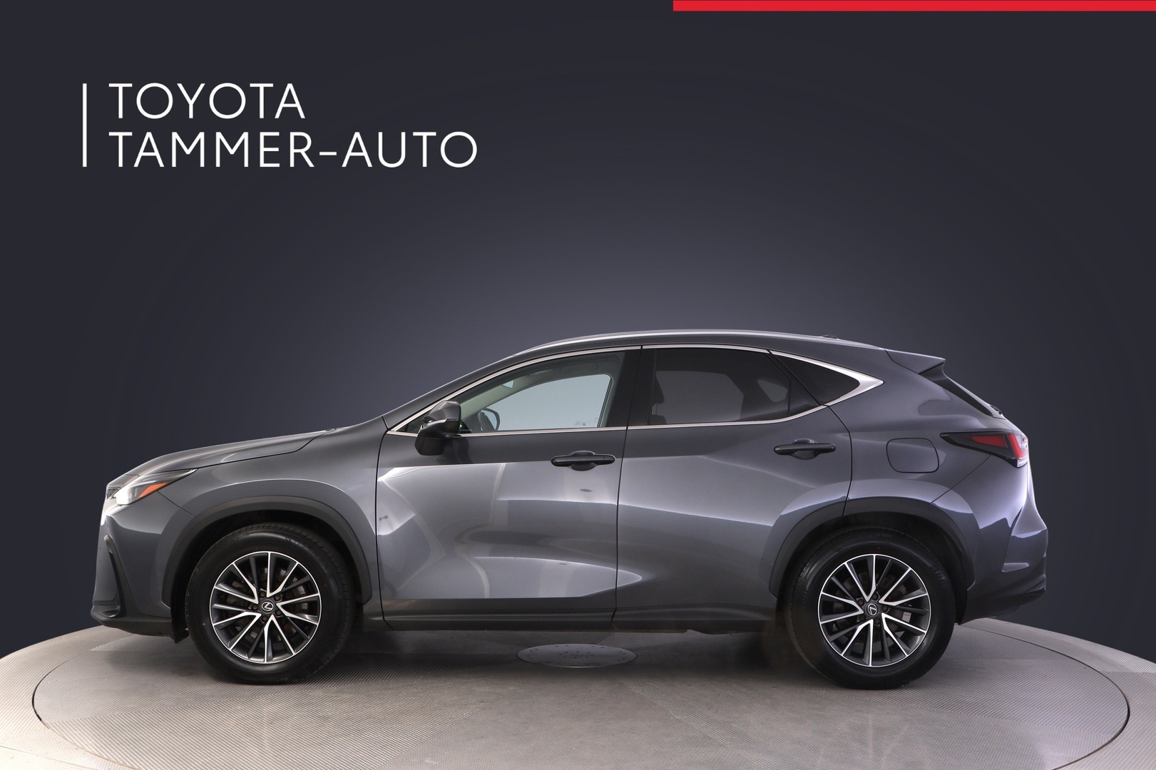 LEXUS NX 2024