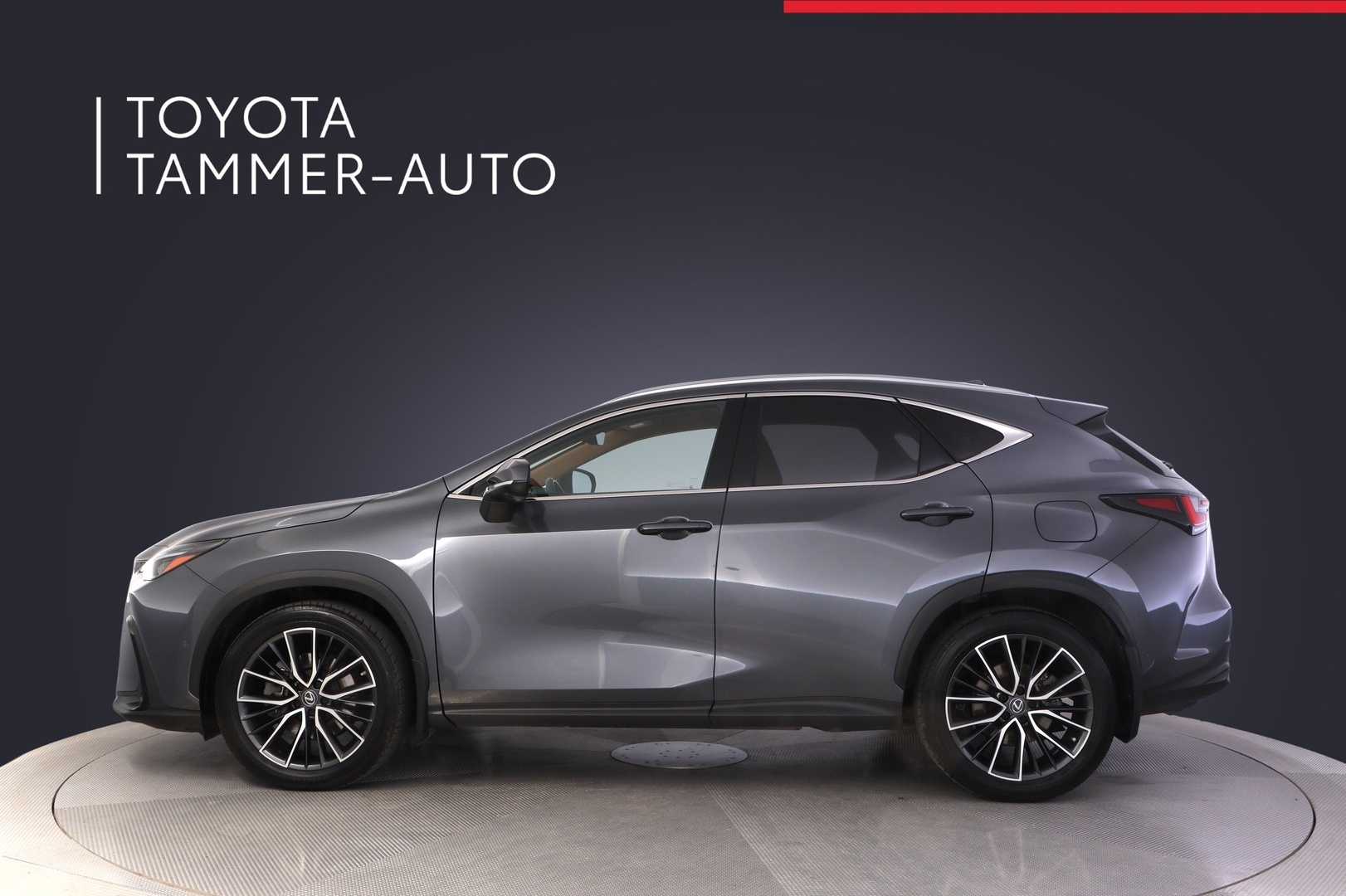 LEXUS NX 2022