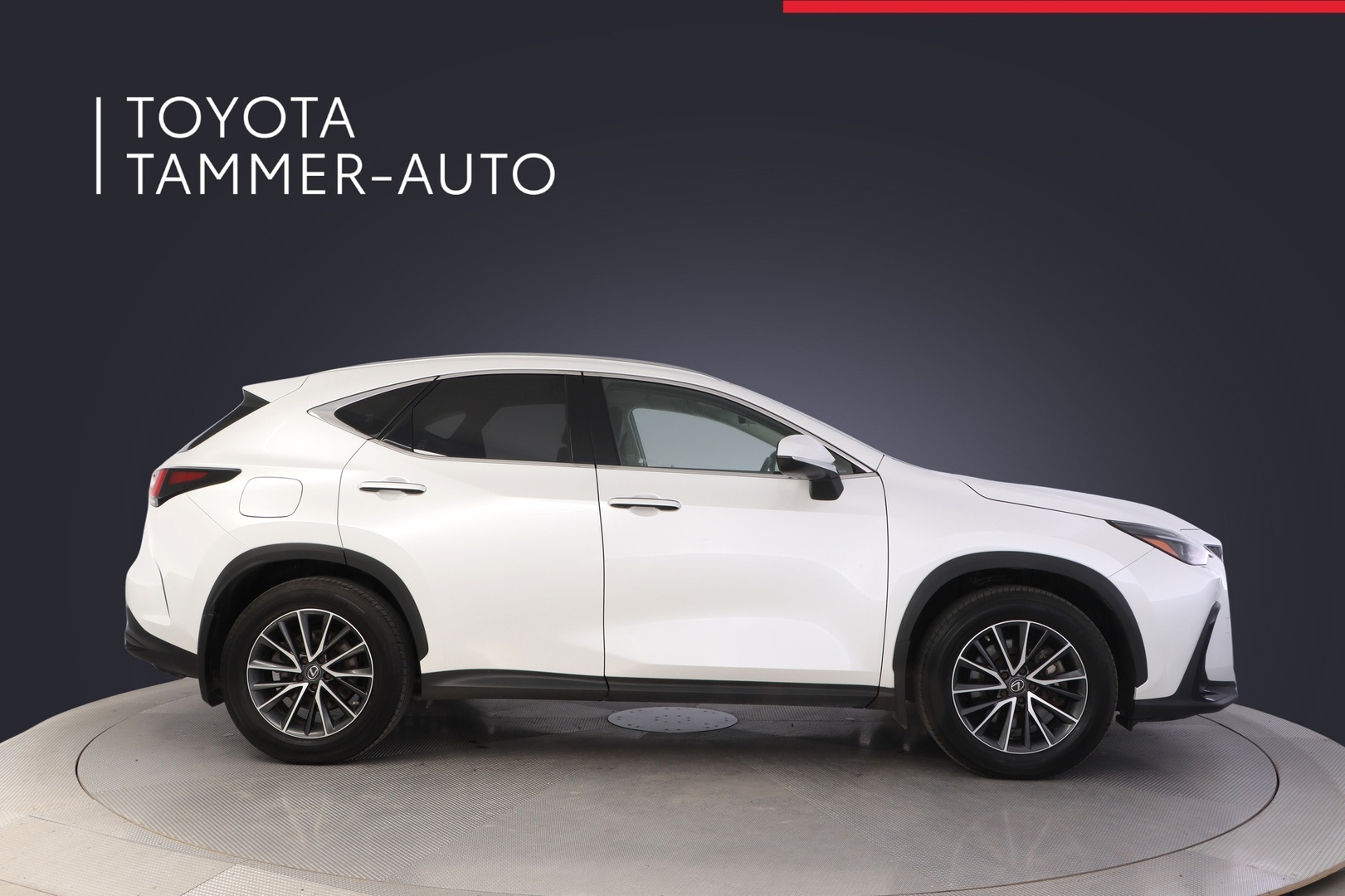 LEXUS NX 2023