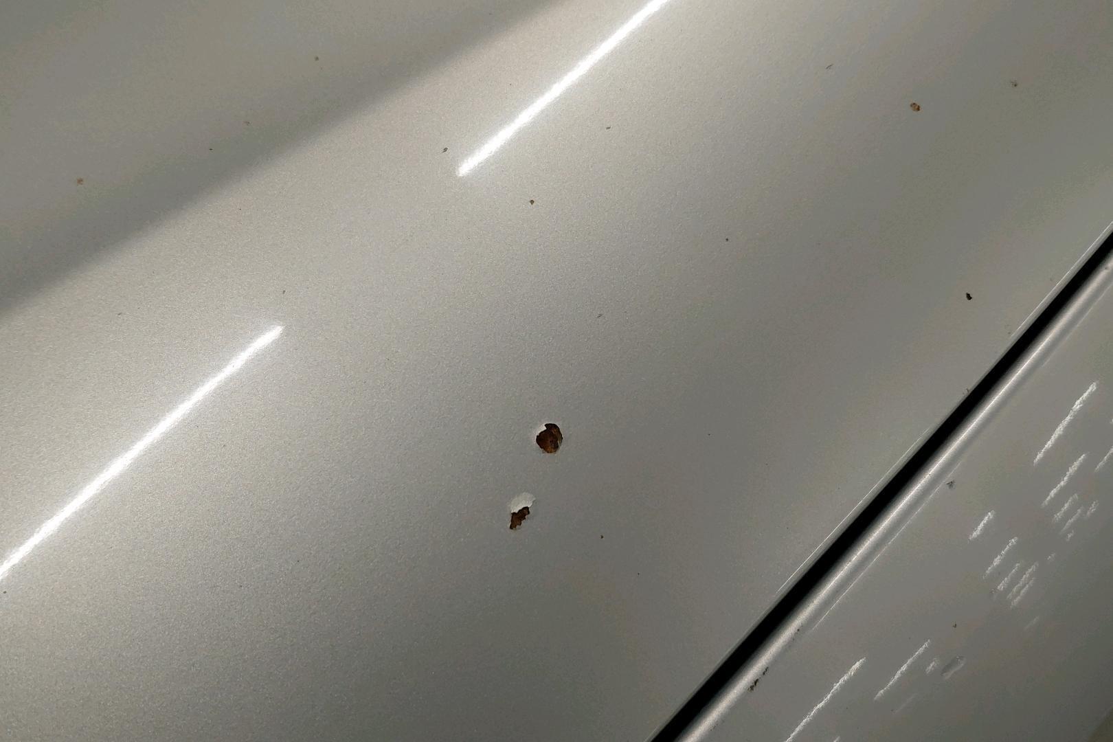 VOLKSWAGEN Passat 2010