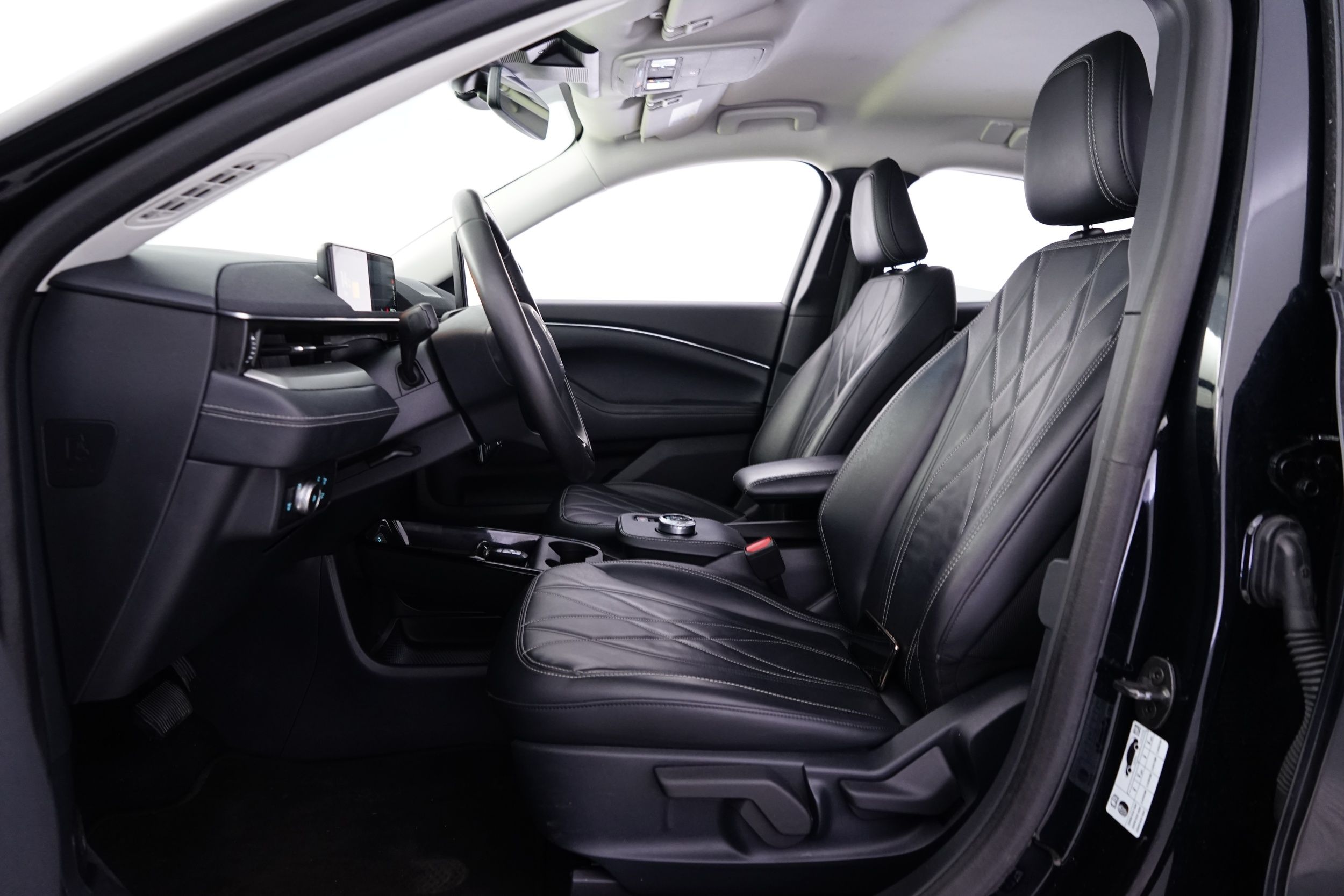 Ford Mustang Mach-E 2021