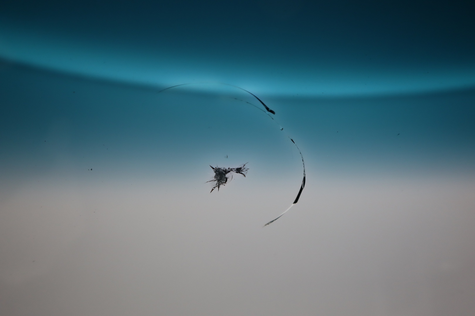 MERCEDES-BENZ Sprinter 2014