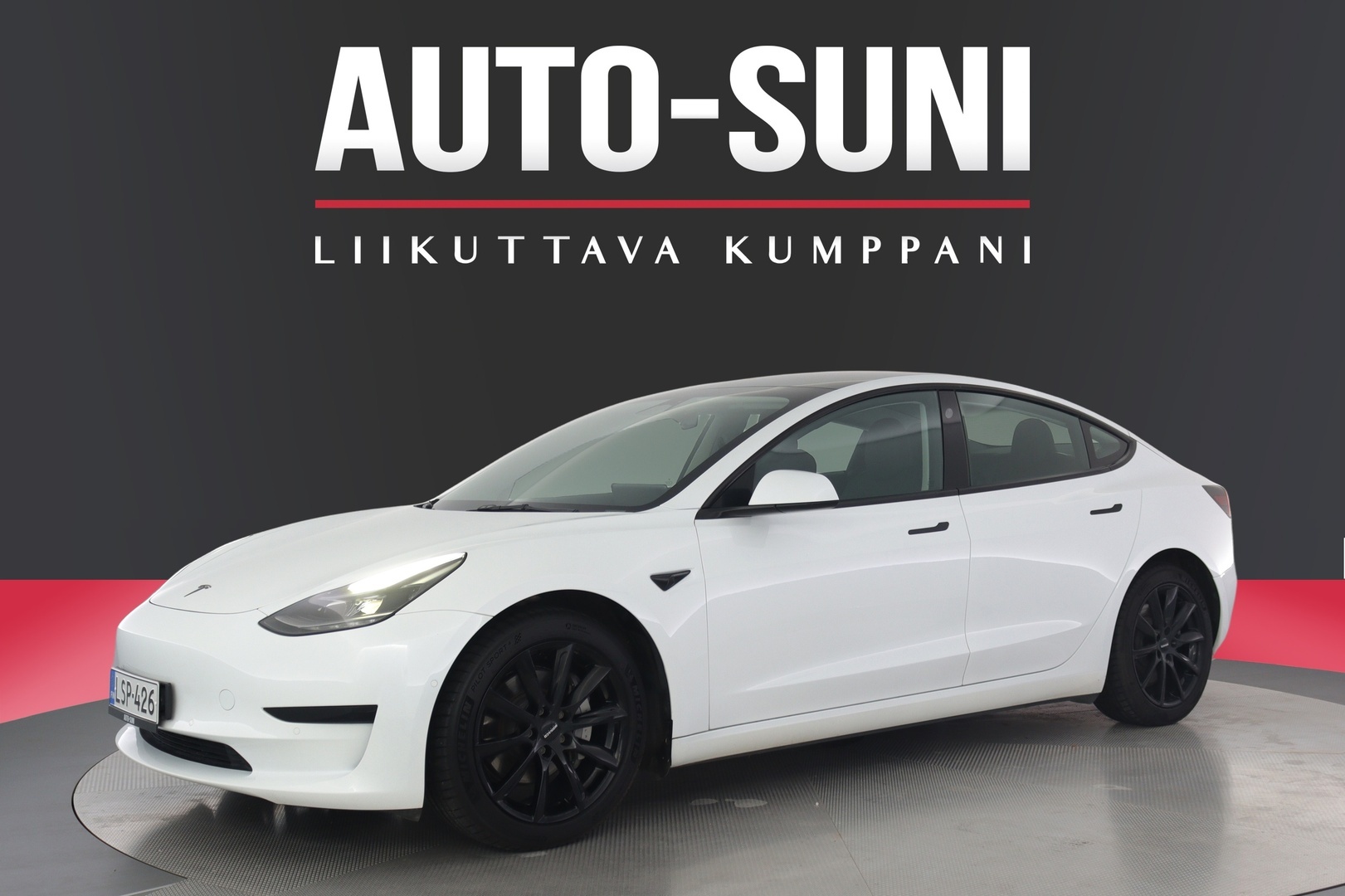 TESLA Model 3 2022