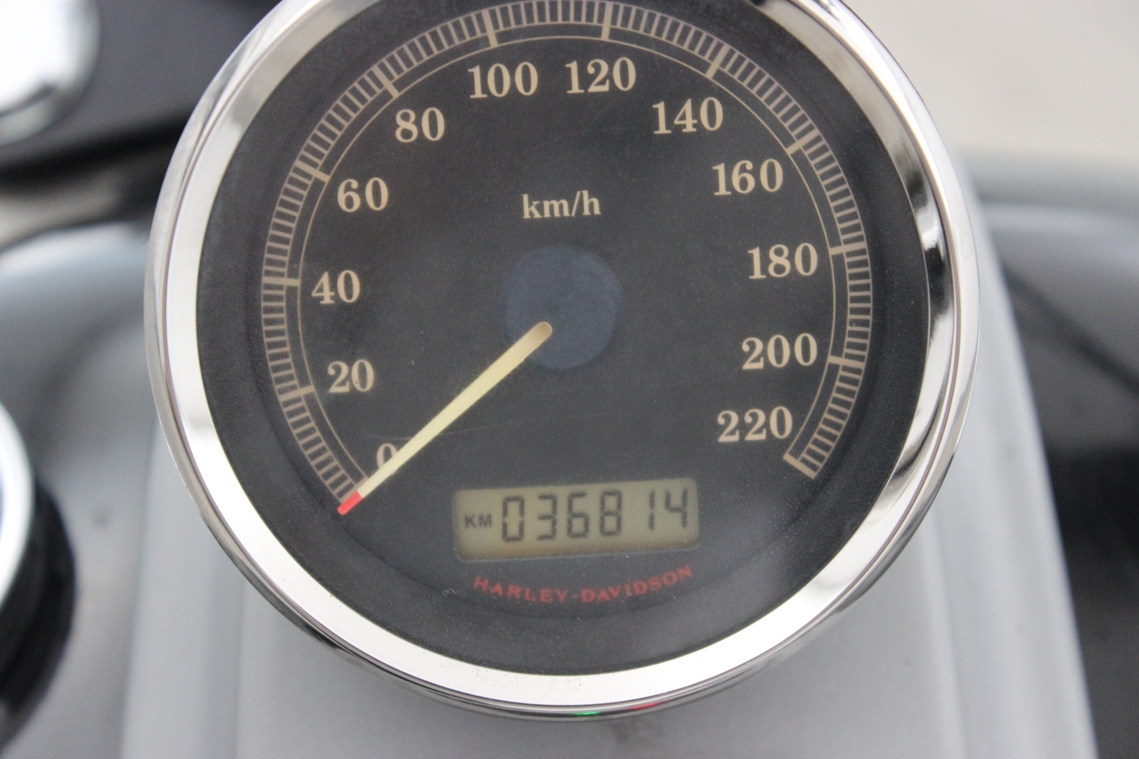 HARLEY-DAVIDSON Softail 2008