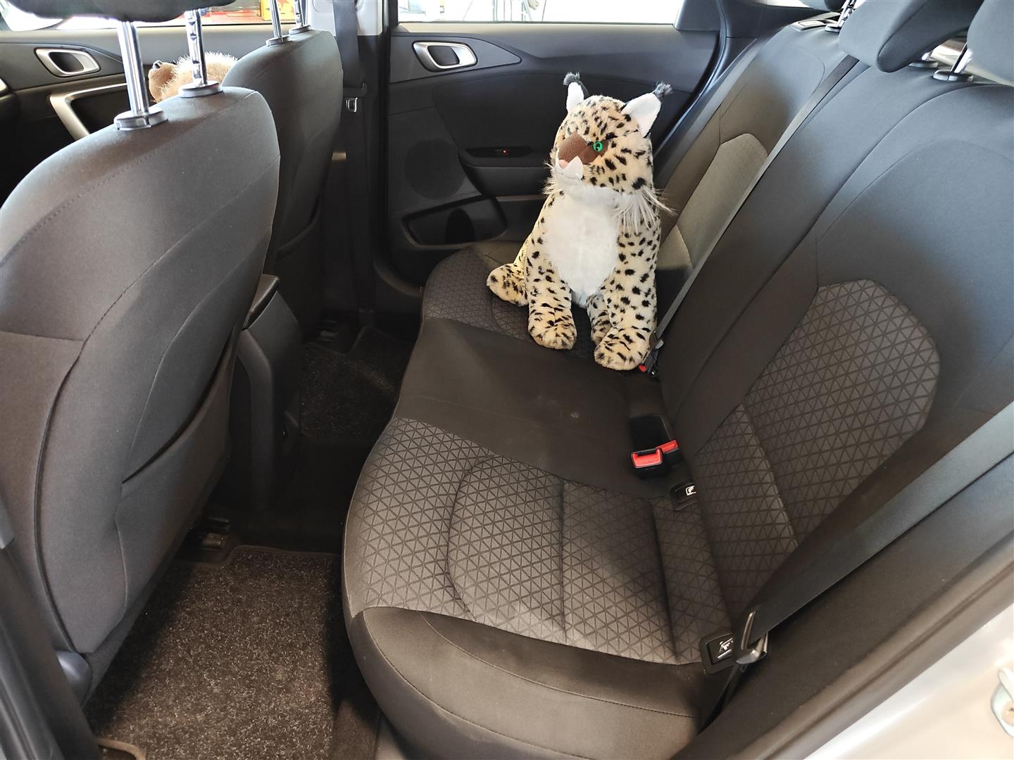 Kia Ceed 2024