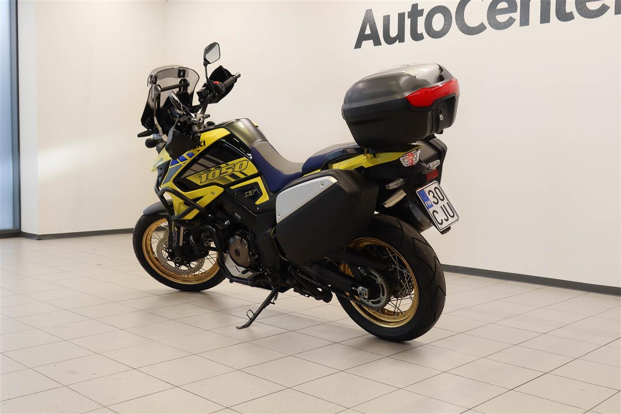 Suzuki DL 2021