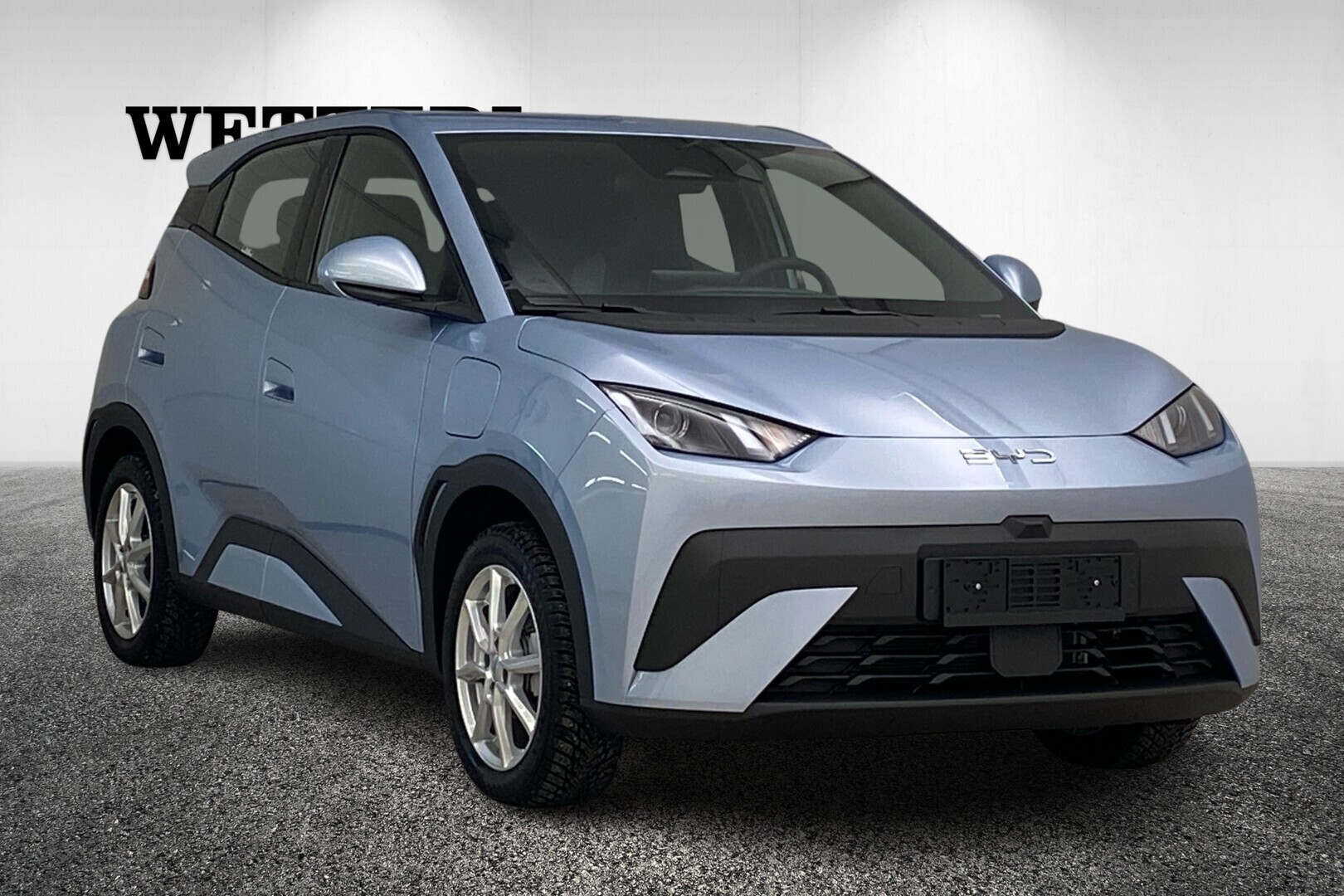 BYD Dolphin Surf 1