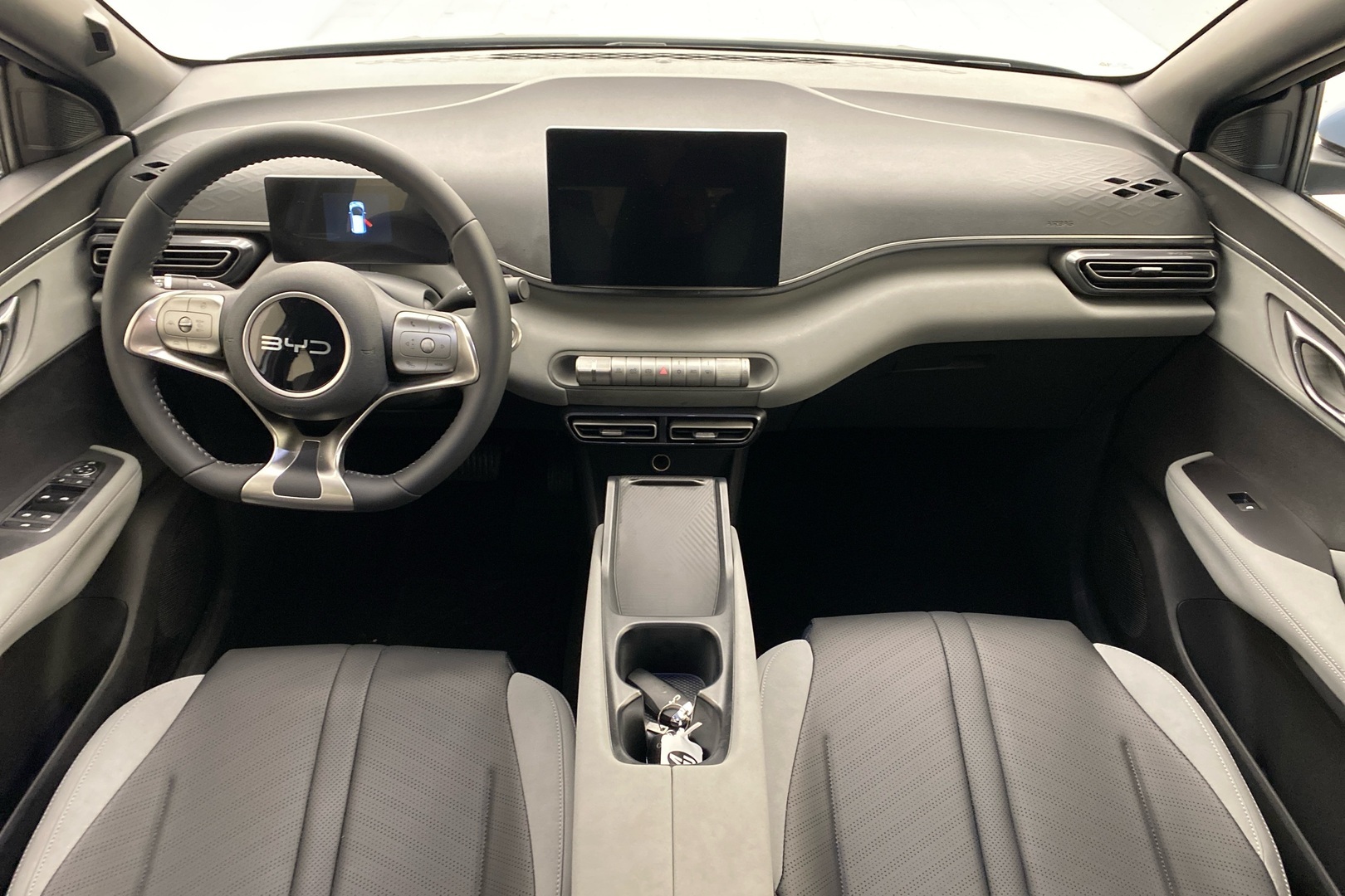 BYD Dolphin Surf 10