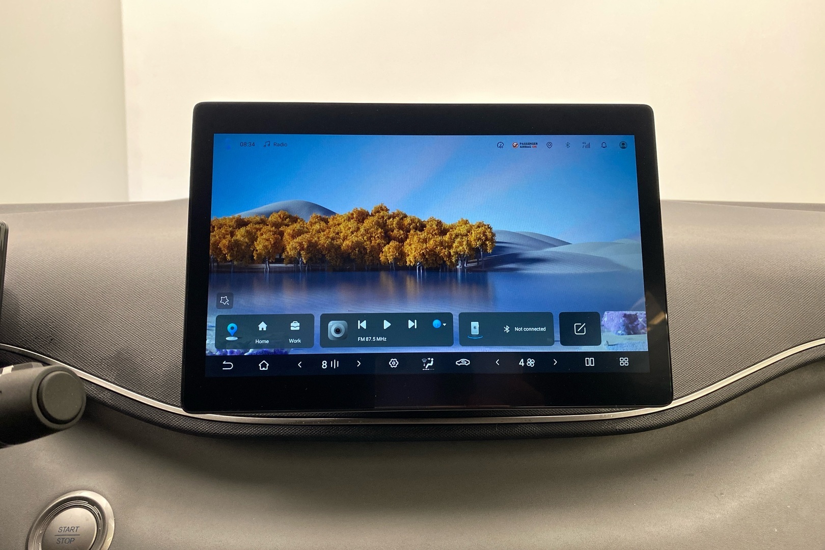 BYD Dolphin Surf 14