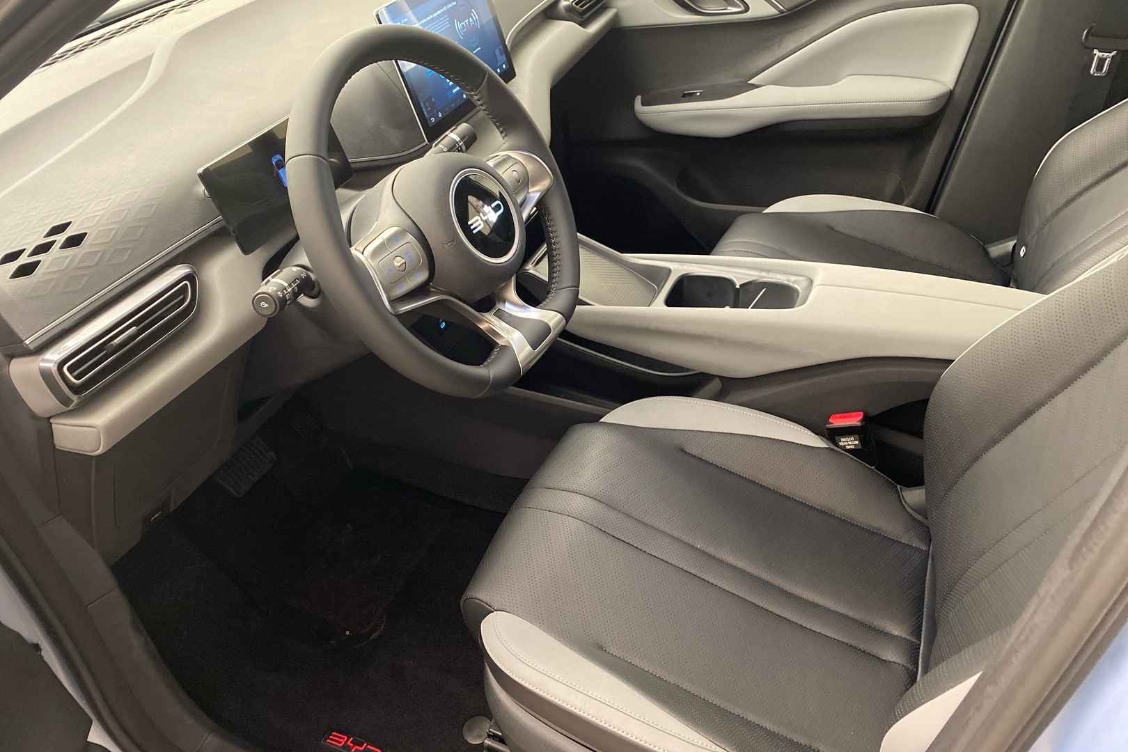 BYD Dolphin Surf 6