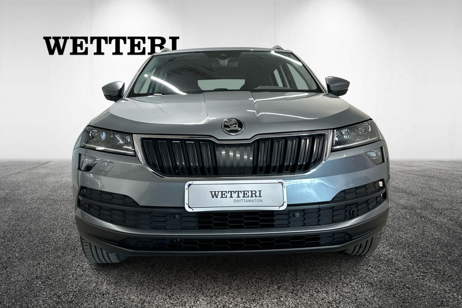 SKODA Karoq 2019