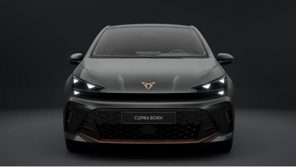 Cupra Born VZ 240 kW 79 kWh Chosen One 2027, photo 2/55