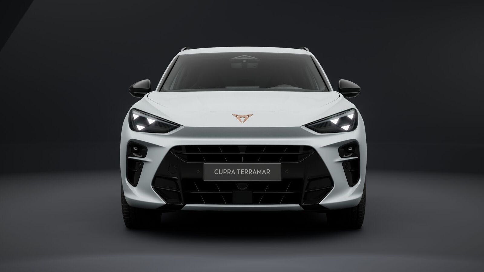 Cupra Terramar 2026, kuva 3/20