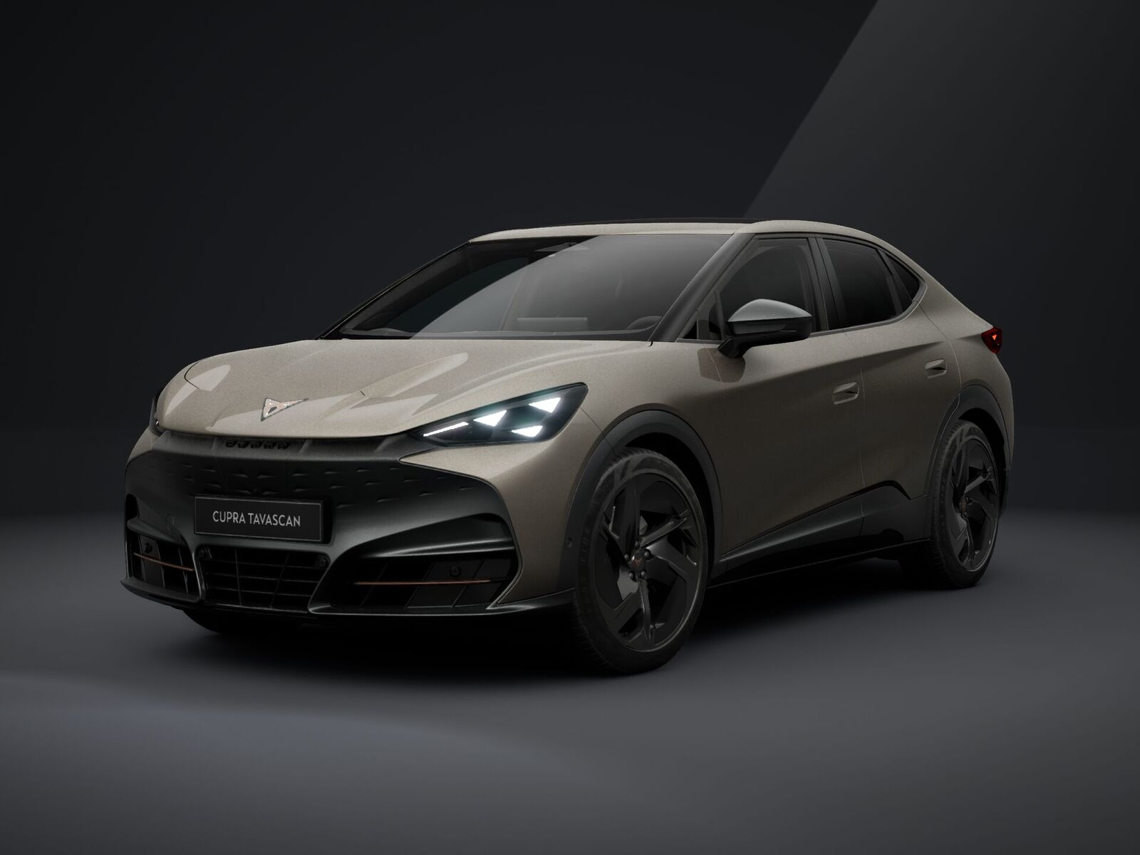 Cupra Tavascan 2026, photo 2/21