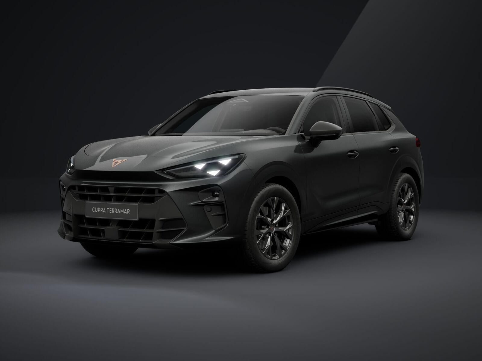 Cupra Terramar 2026, photo 2/19