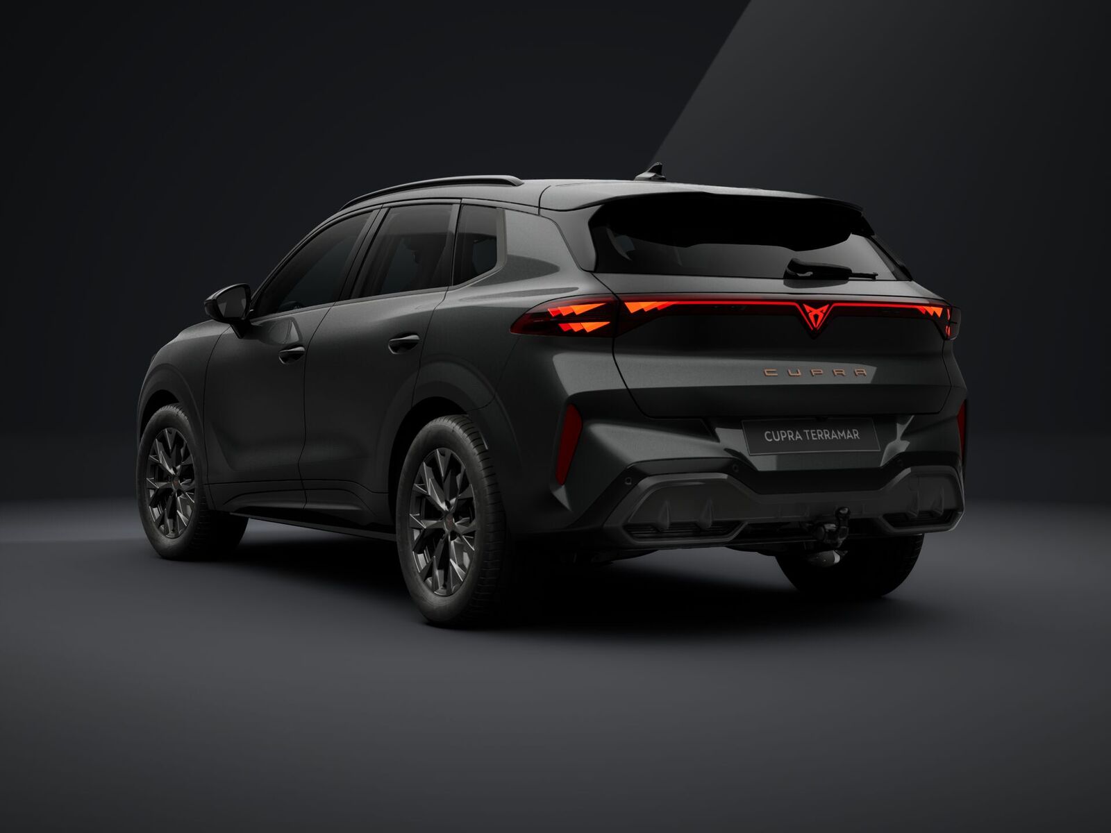 Cupra Terramar 2026, photo 3/19