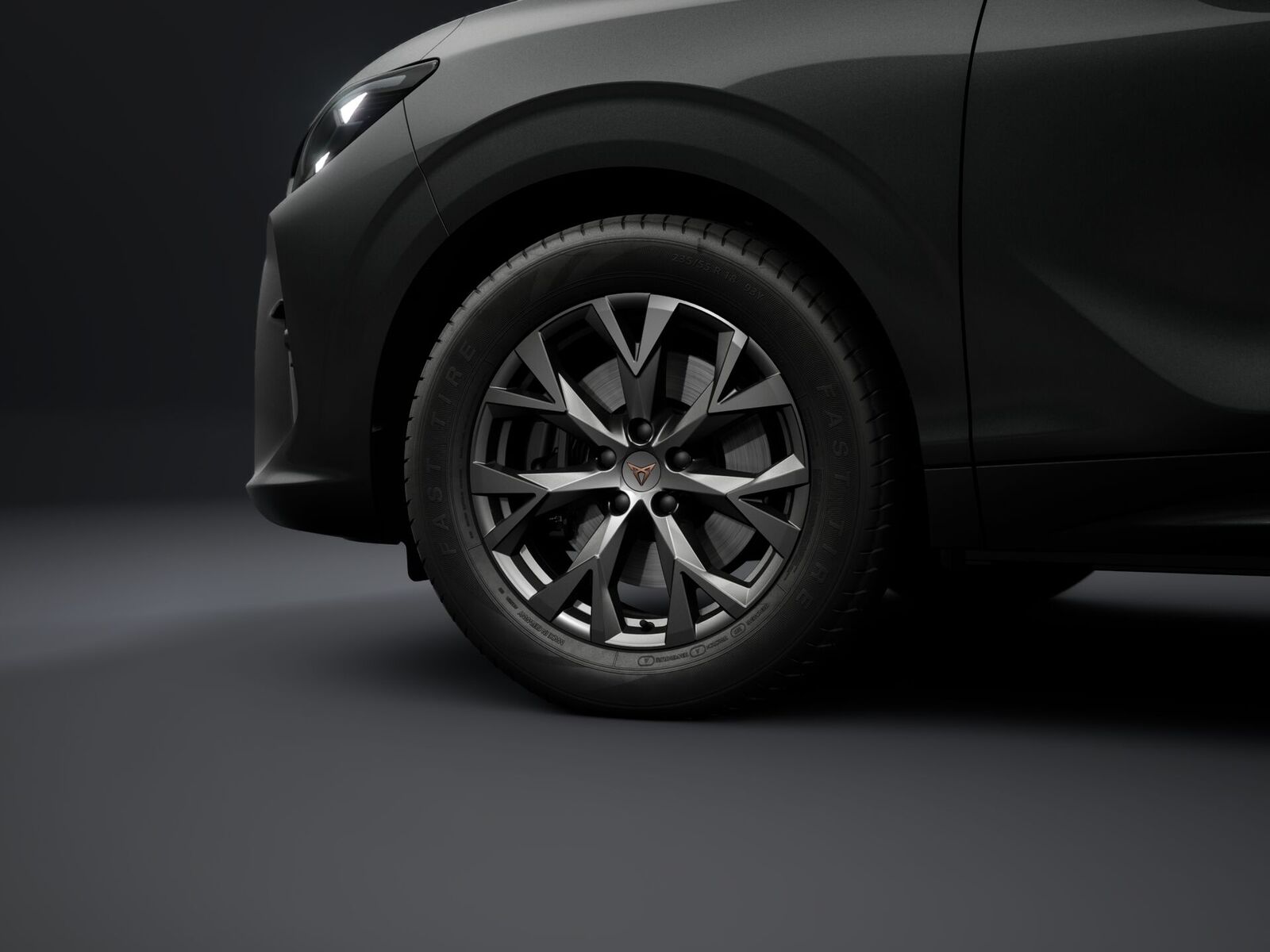 Cupra Terramar 2026, photo 4/19
