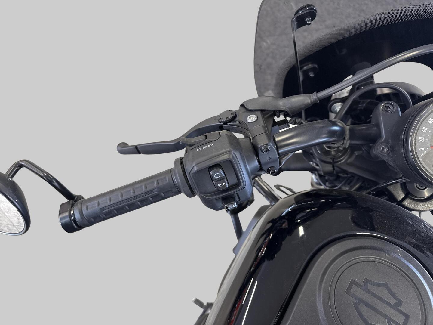 HARLEY-DAVIDSON SPORTSTER 2022