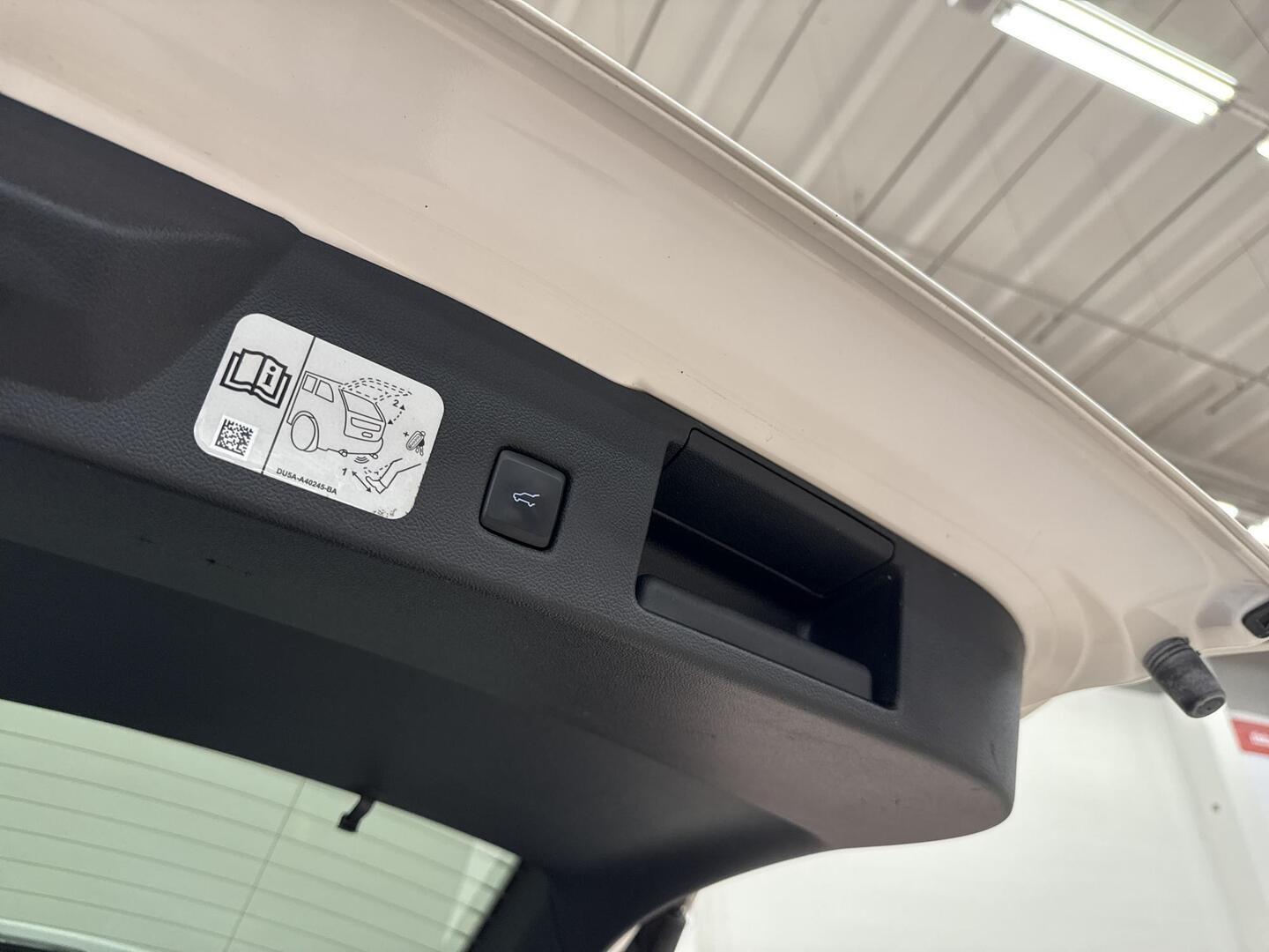 FORD Kuga 2022
