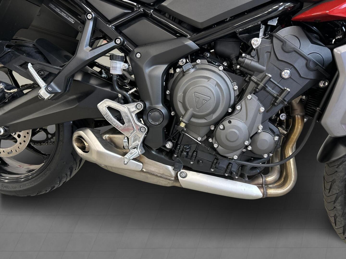 TRIUMPH TIGER 2025