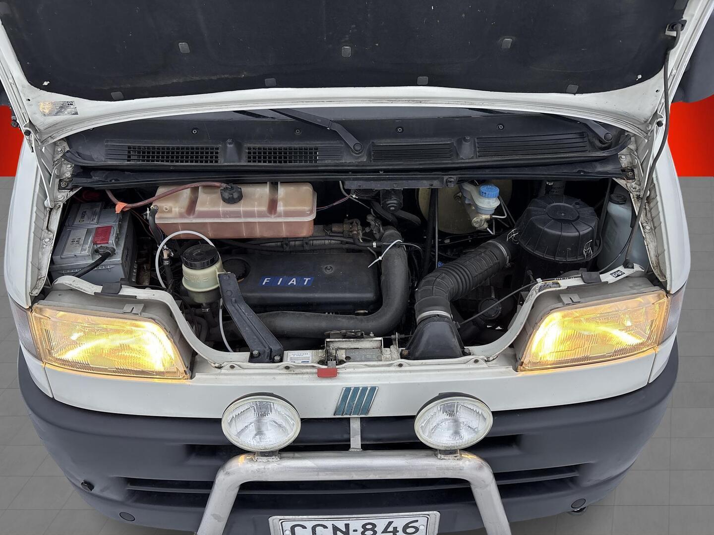 GRANDUCA PEGASO 1998