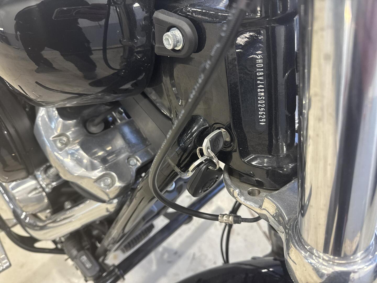 HARLEY-DAVIDSON SOFTAIL 2021