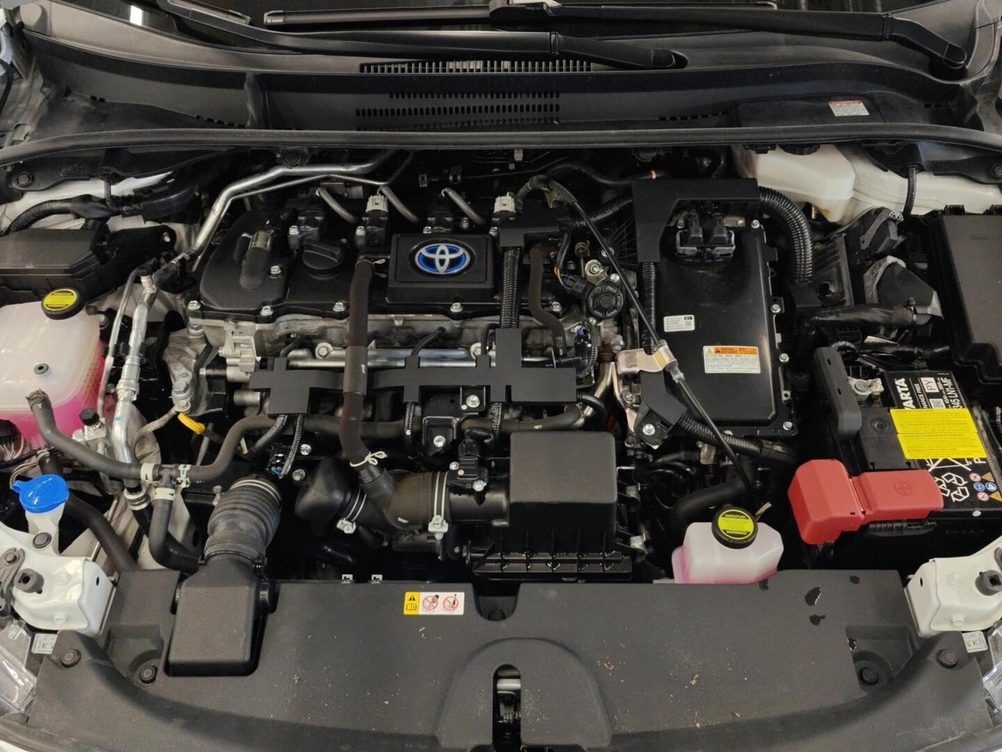 TOYOTA COROLLA 2023