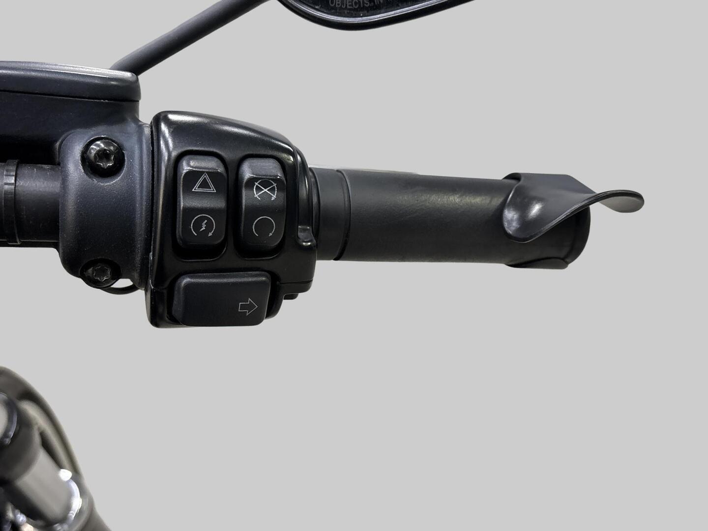 HARLEY-DAVIDSON SOFTAIL 2018