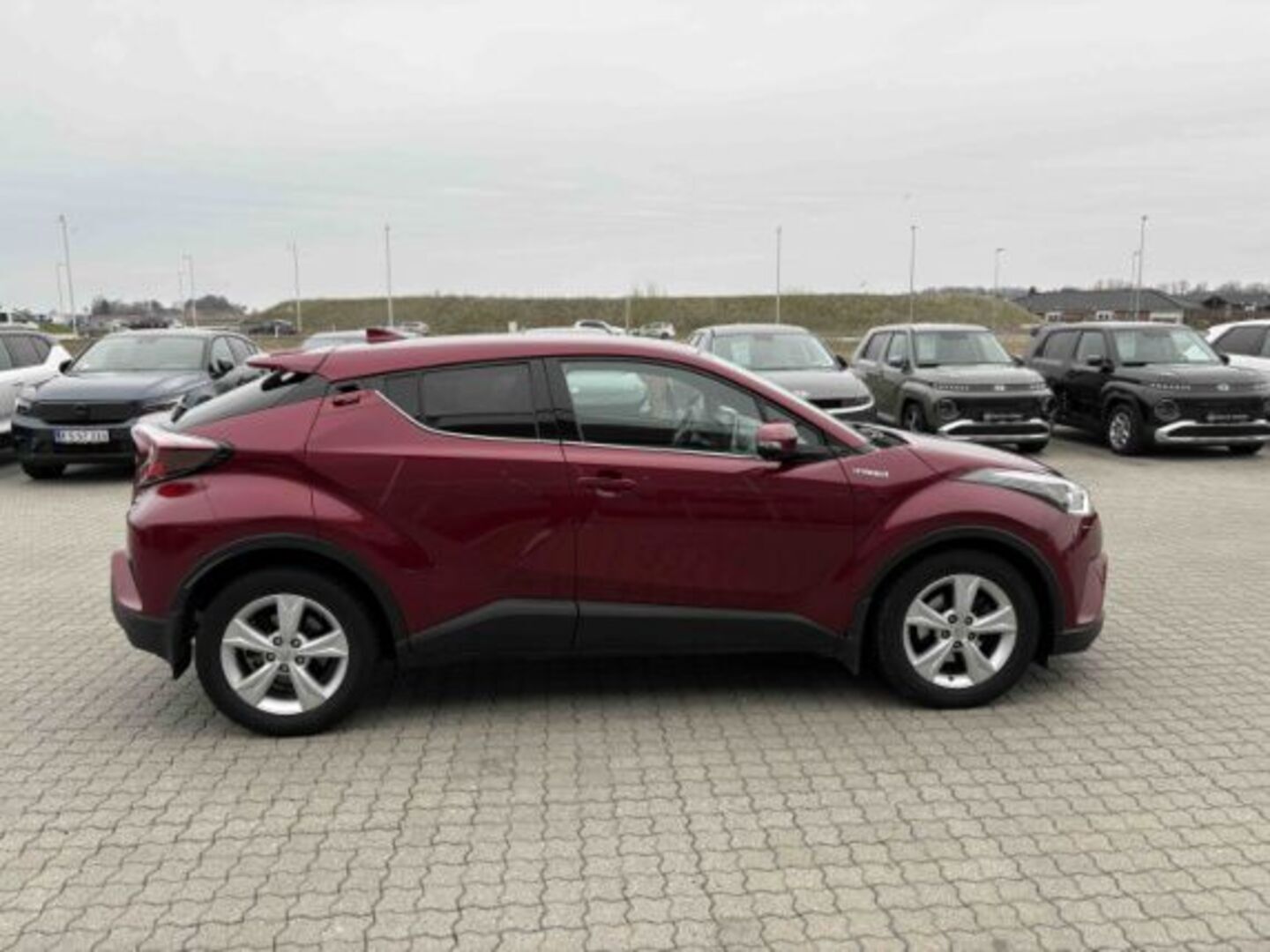 TOYOTA C-HR 2019