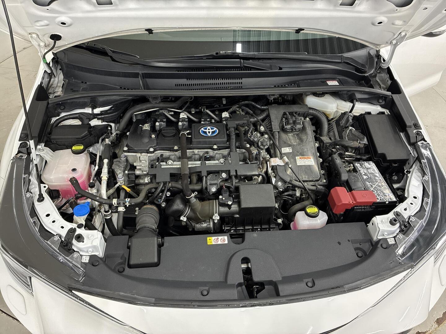 TOYOTA Corolla 2021