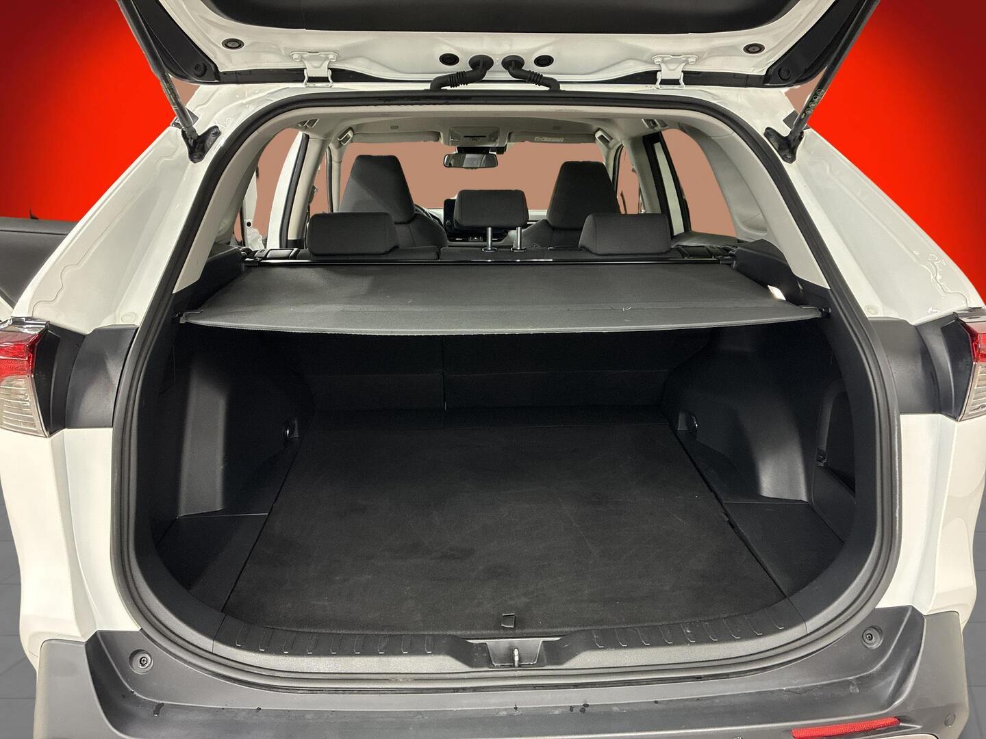 TOYOTA RAV4 2024
