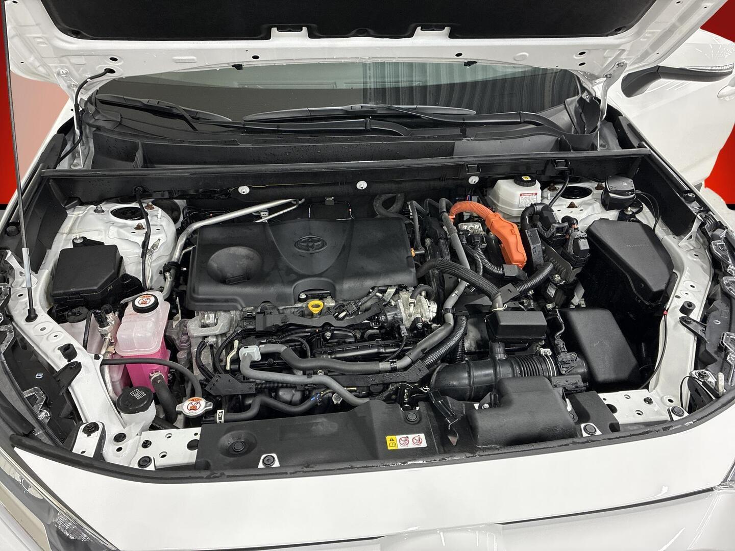 TOYOTA RAV4 2024