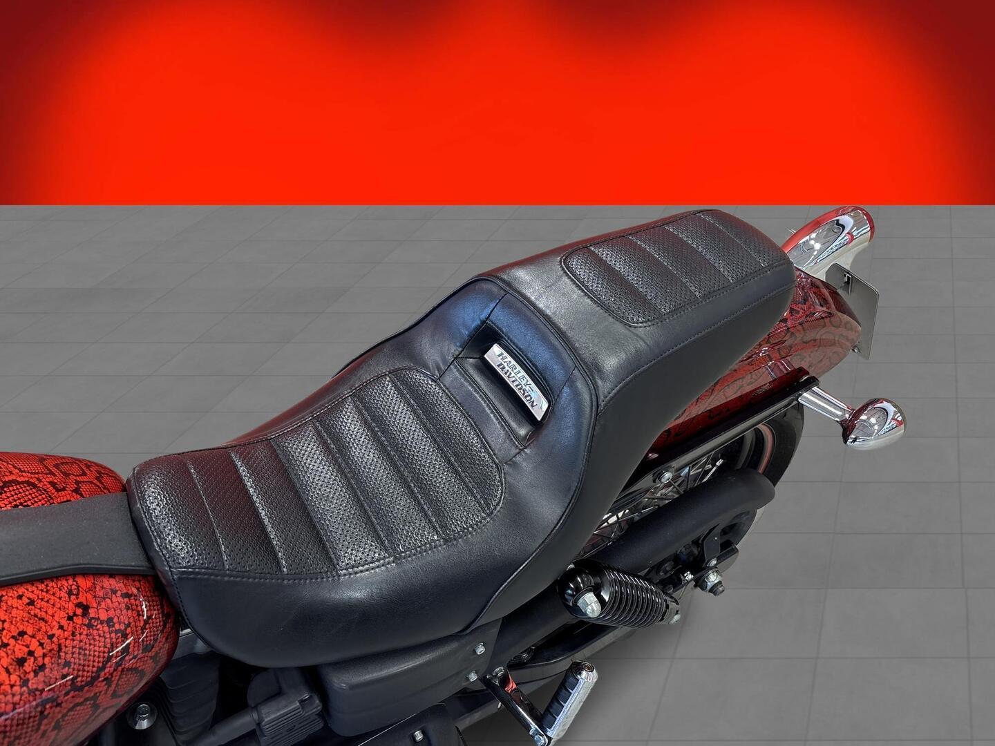 HARLEY-DAVIDSON DYNA 2011