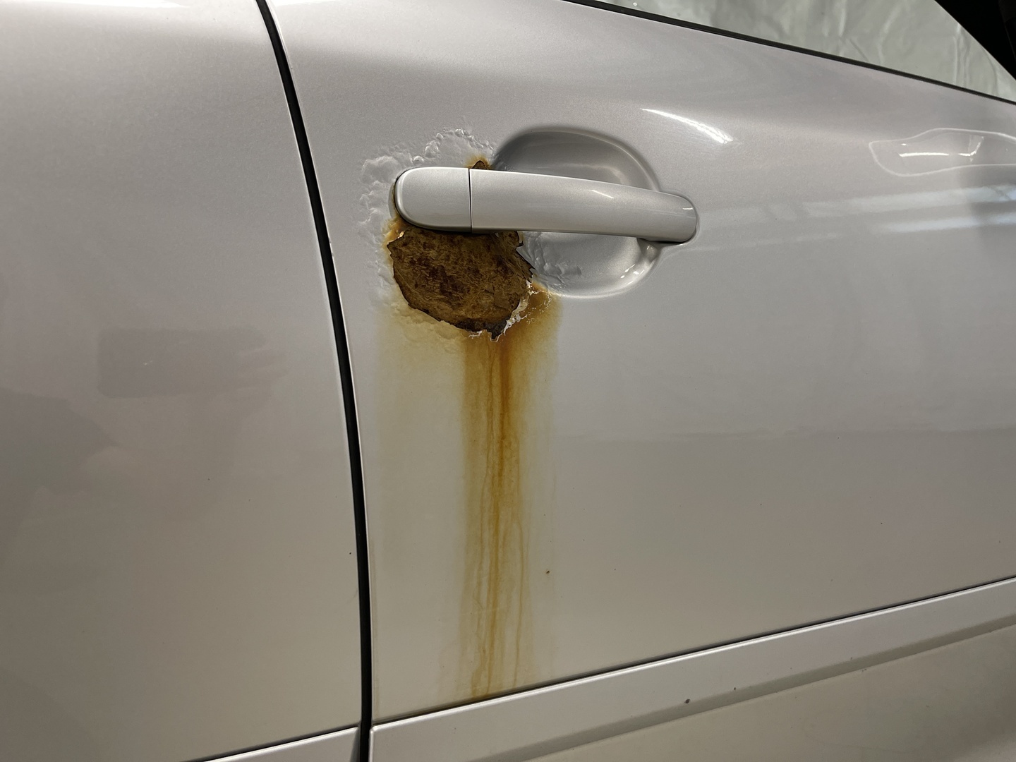 SKODA Octavia 2011