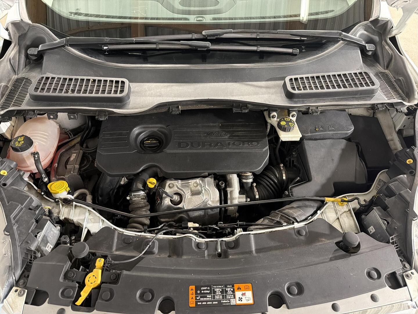 FORD Kuga 2017