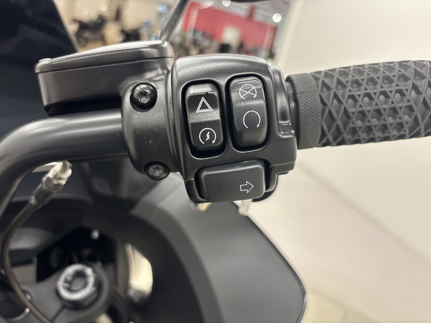 HARLEY-DAVIDSON SOFTAIL 2023