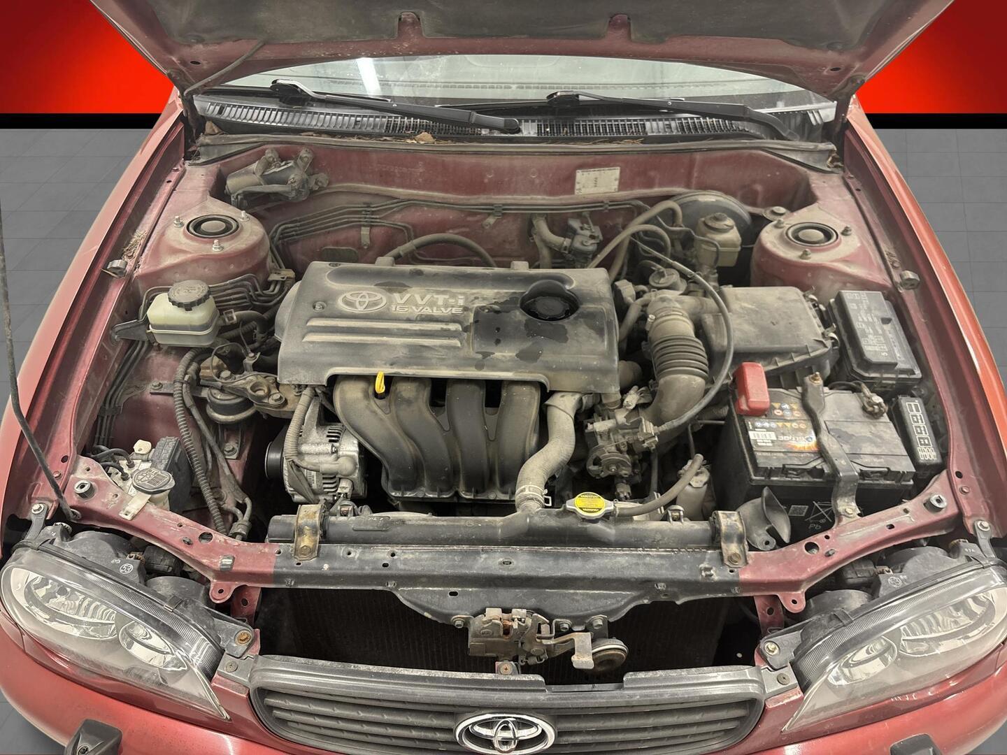 TOYOTA Corolla 2000