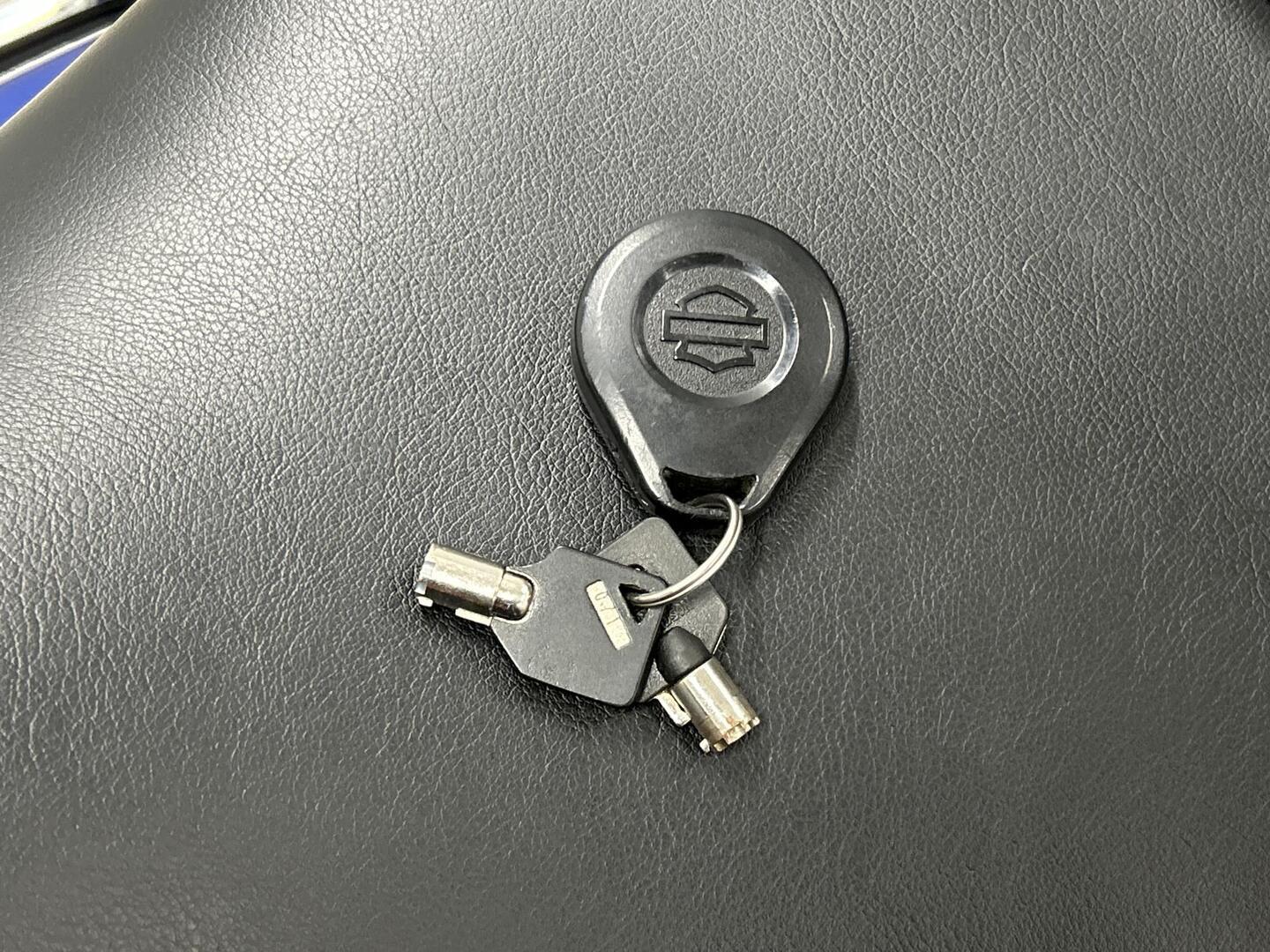 HARLEY-DAVIDSON Touring 2009