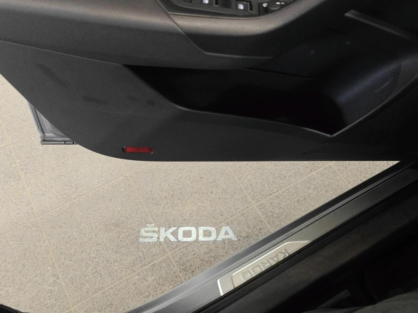 SKODA Karoq 2019