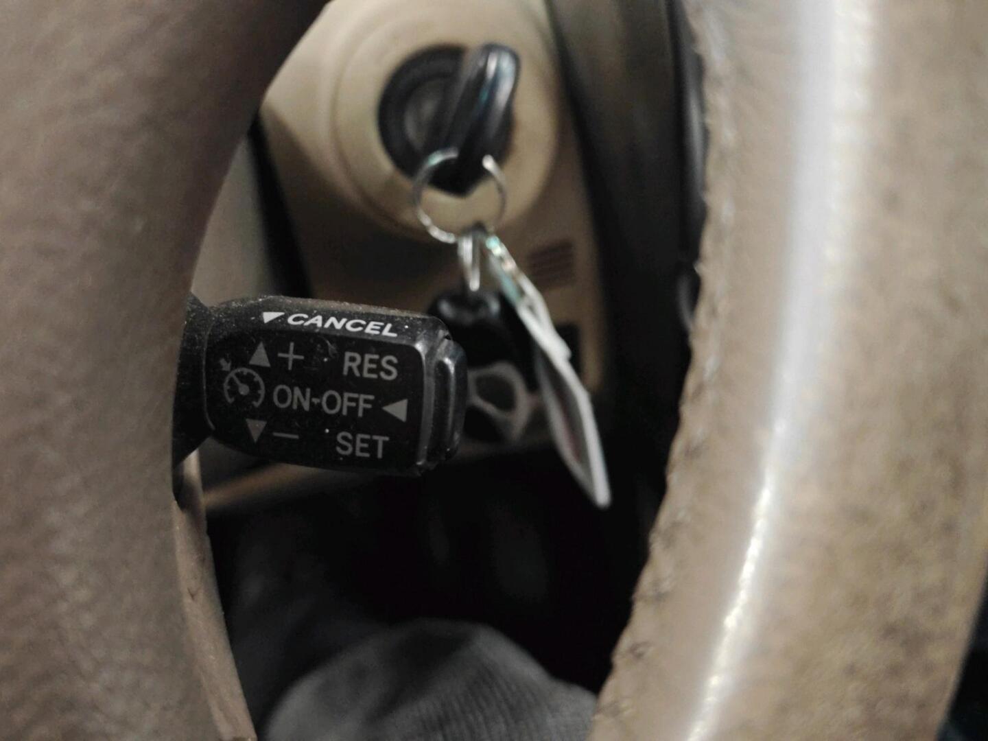 TOYOTA Land Cruiser 2004