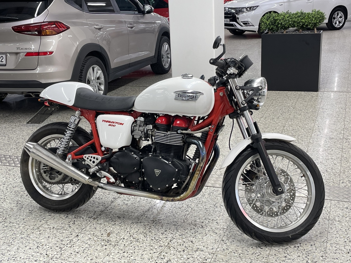 TRIUMPH Thruxton 2011