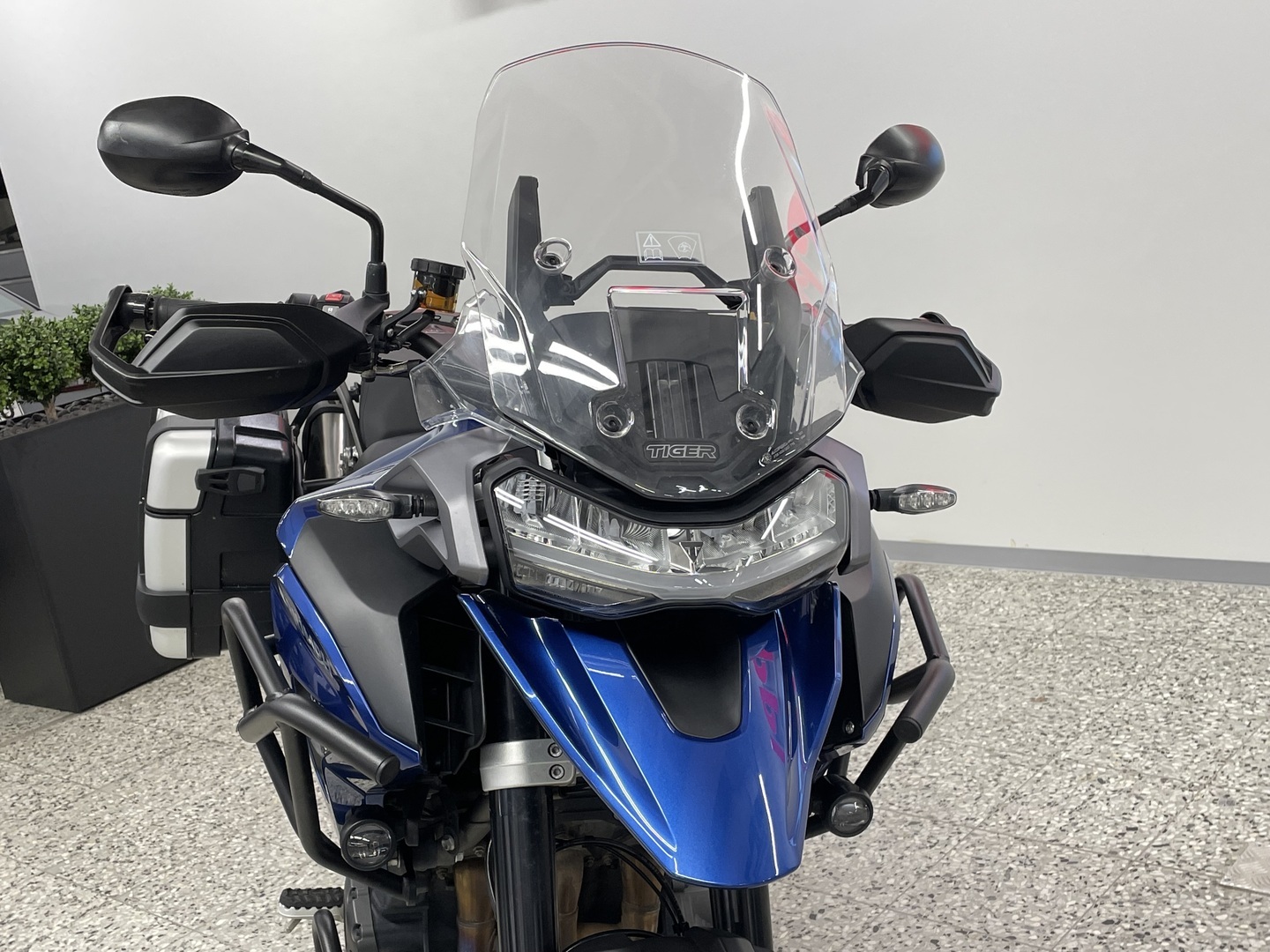 TRIUMPH TIGER 2023