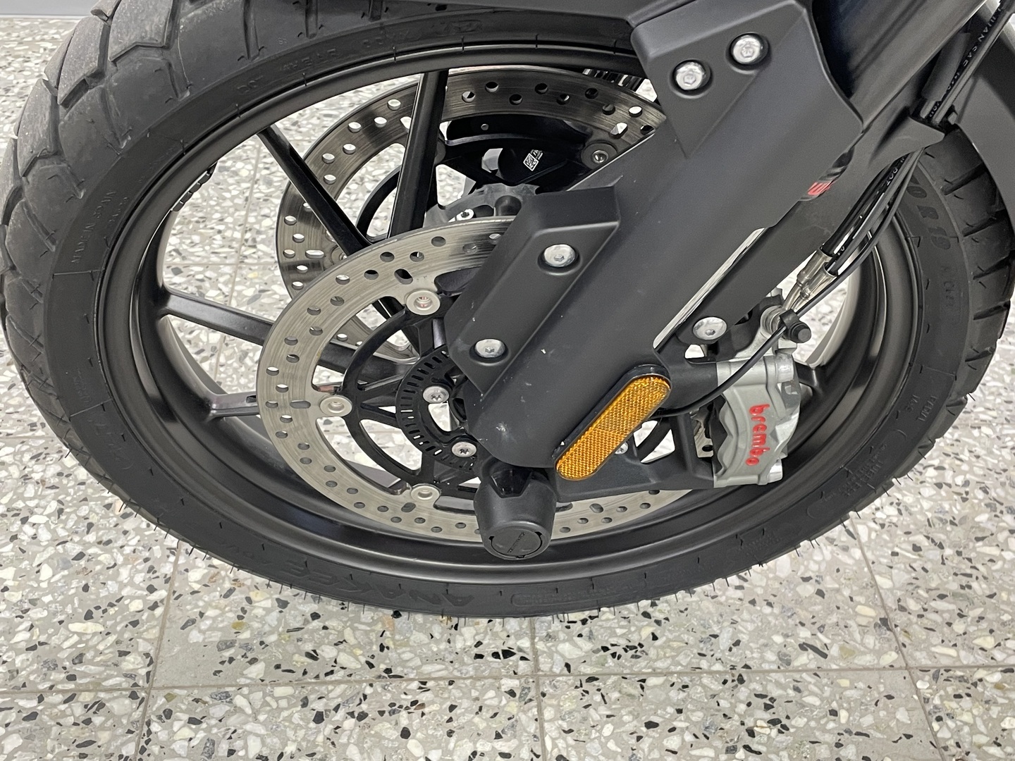 TRIUMPH TIGER 2023
