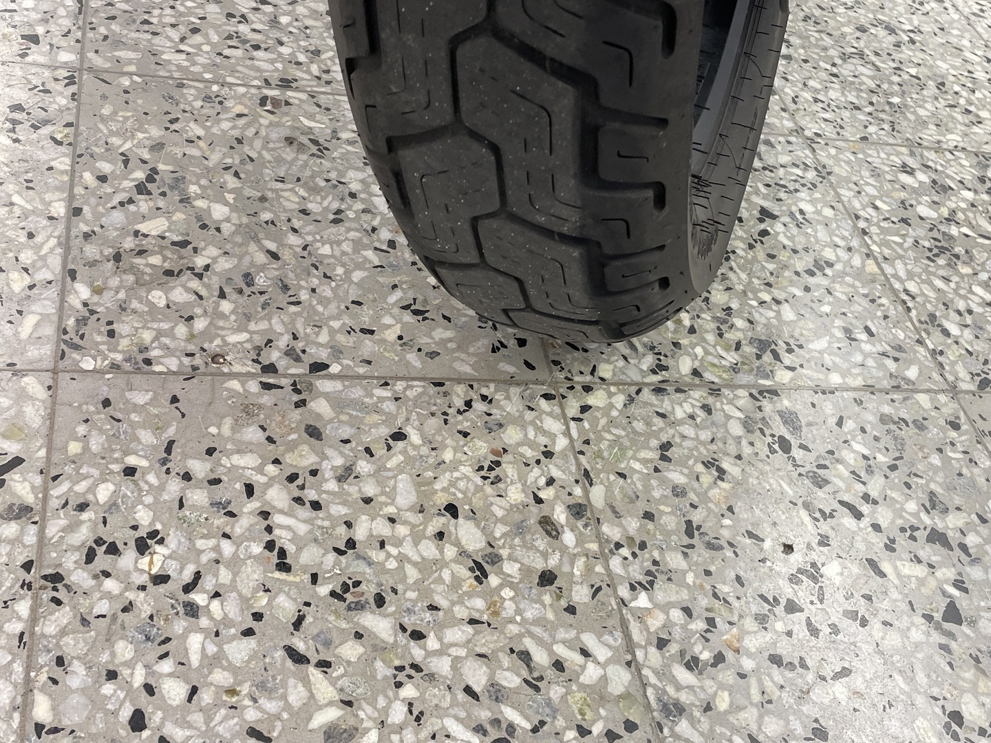 HONDA REBEL 2019