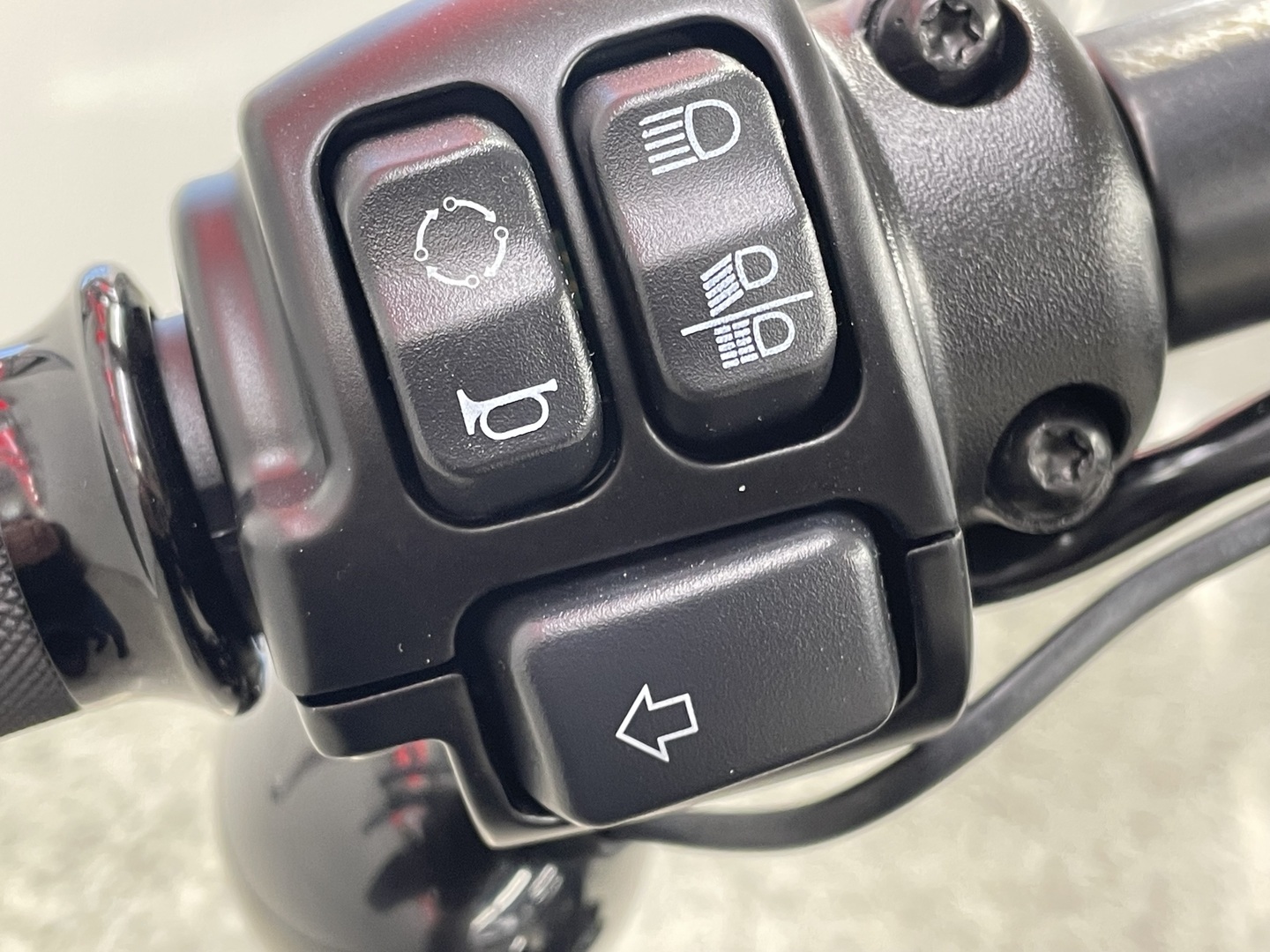 HARLEY-DAVIDSON SOFTAIL 2021