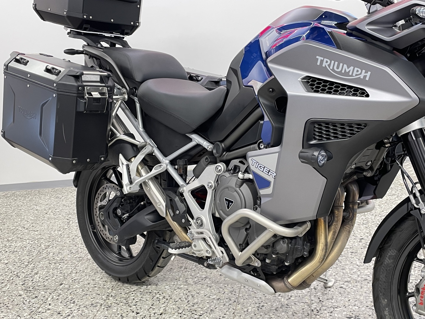 TRIUMPH TIGER 2025