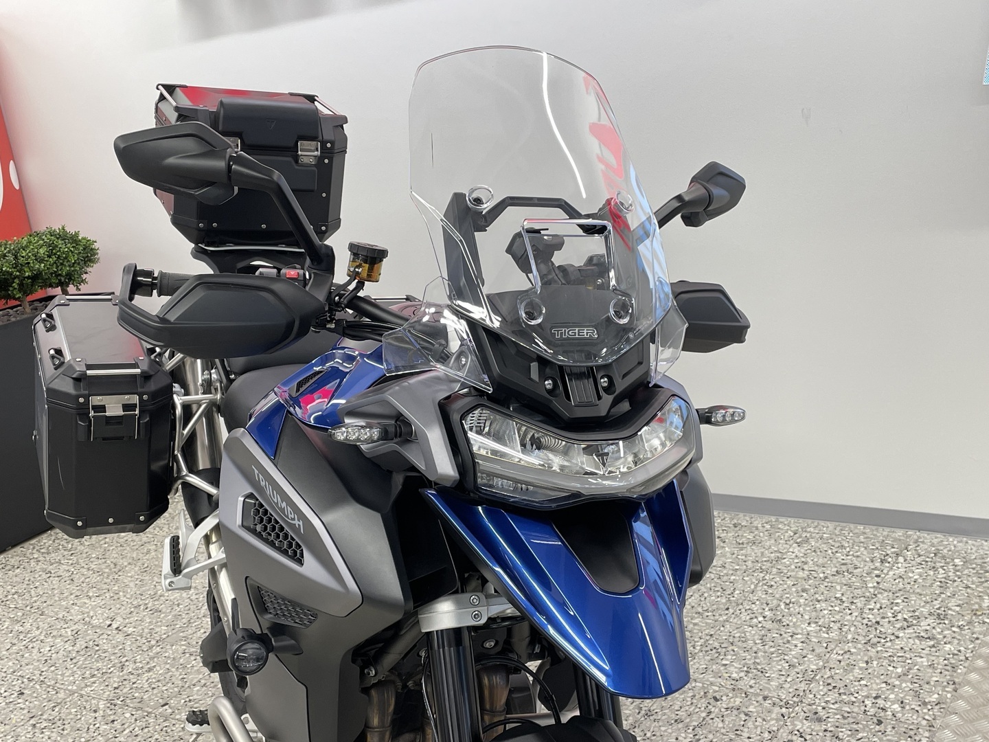 TRIUMPH TIGER 2025