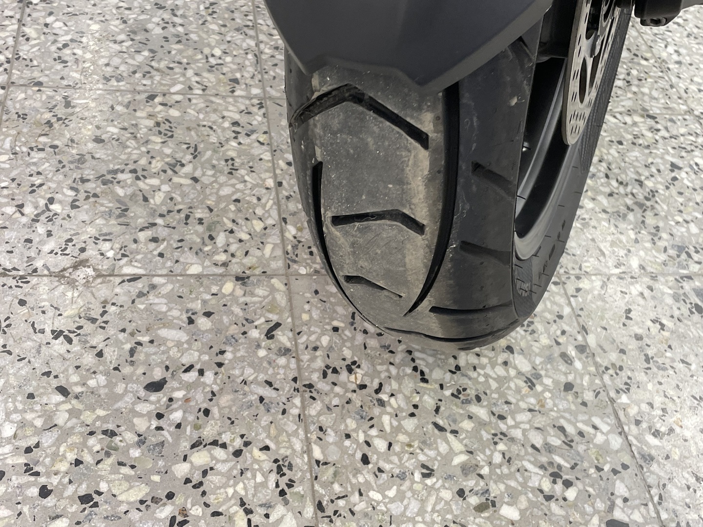 TRIUMPH TIGER 2025