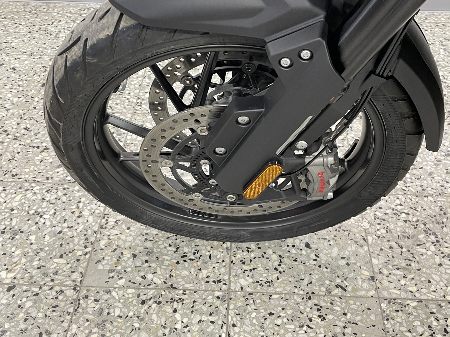 TRIUMPH TIGER 2025